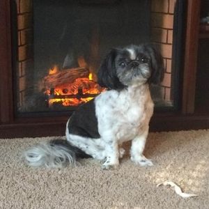 Meet your Posher, Tina